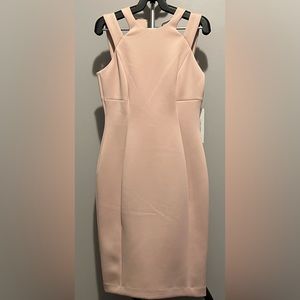 Calvin Klein Women's Double Strapped Sheath Dress